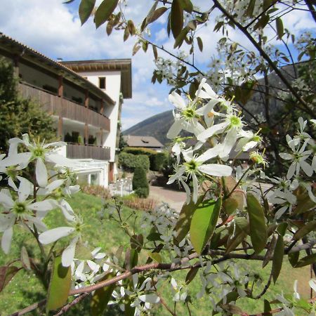 Natur Pur Hotel Unterpichl Ultimo Εξωτερικό φωτογραφία
