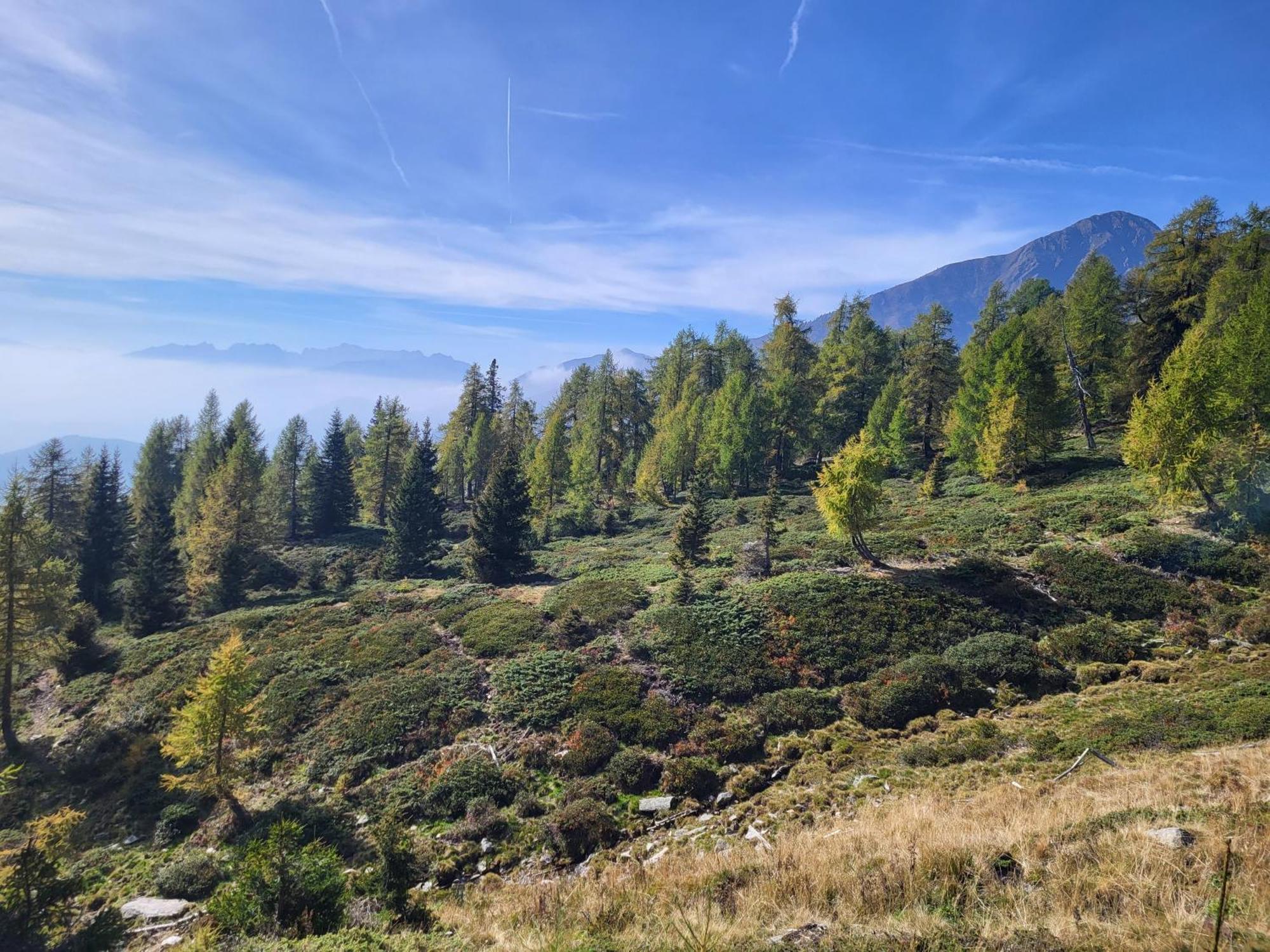 Natur Pur Hotel Unterpichl Ultimo Εξωτερικό φωτογραφία